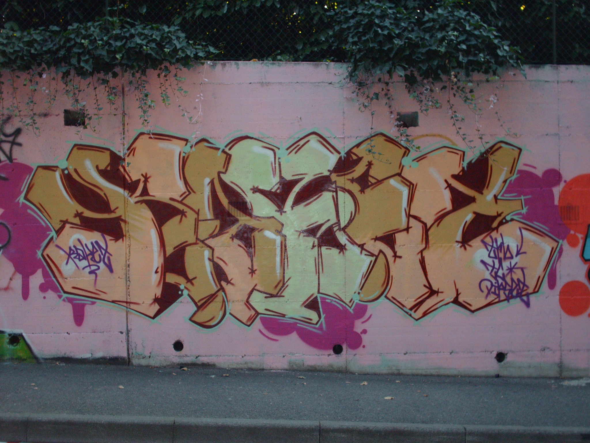 RAKET  JAM A CARNATE